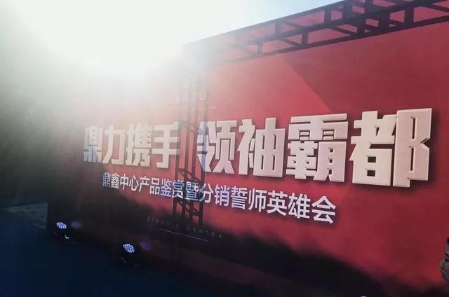 鼎力攜手，領(lǐng)袖霸都！合肥鼎鑫中心產(chǎn)品鑒賞暨分銷誓師英雄會(huì)圓滿落幕！