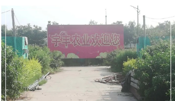 建一個市場、興一方產(chǎn)業(yè)、富一方百姓，孝義農(nóng)產(chǎn)品大市場產(chǎn)供銷一體化在行動！