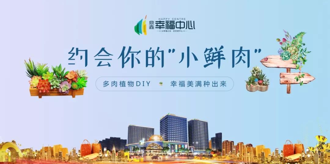 約會你的“小鮮肉” 多肉植物DIY，幸福美滿種出來