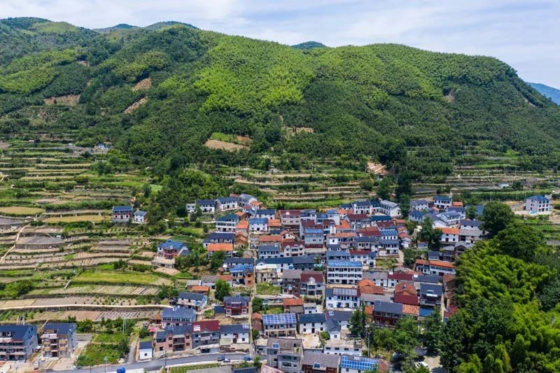 老鄉(xiāng)！別錯過今年這些惠農(nóng)好政策